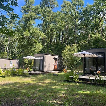Ketrawe Lodge Pucón Εξωτερικό φωτογραφία